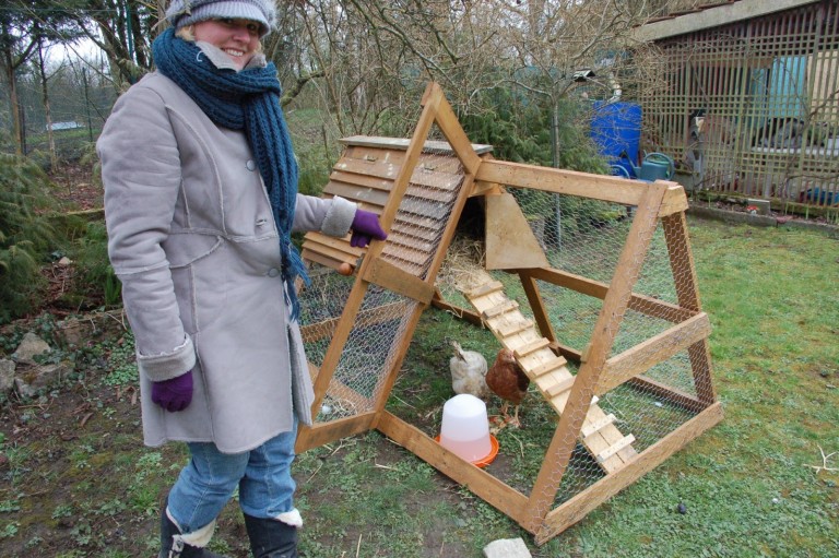 Installer un poulailler dans son jardin pour consommer des œufs frais