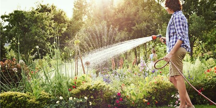 Les bons gestes pour un arrosage parfait en été Sem jardin